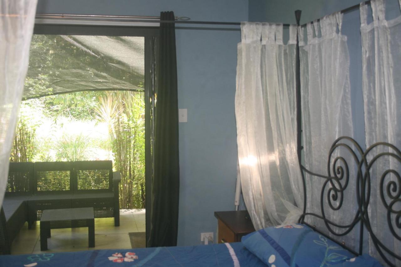 Daintree Rainforest Accommodation Cow Bay エクステリア 写真