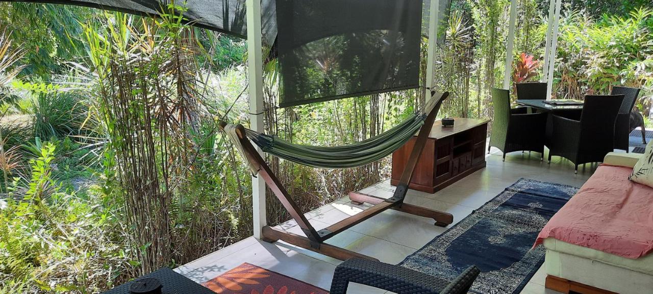 Daintree Rainforest Accommodation Cow Bay エクステリア 写真