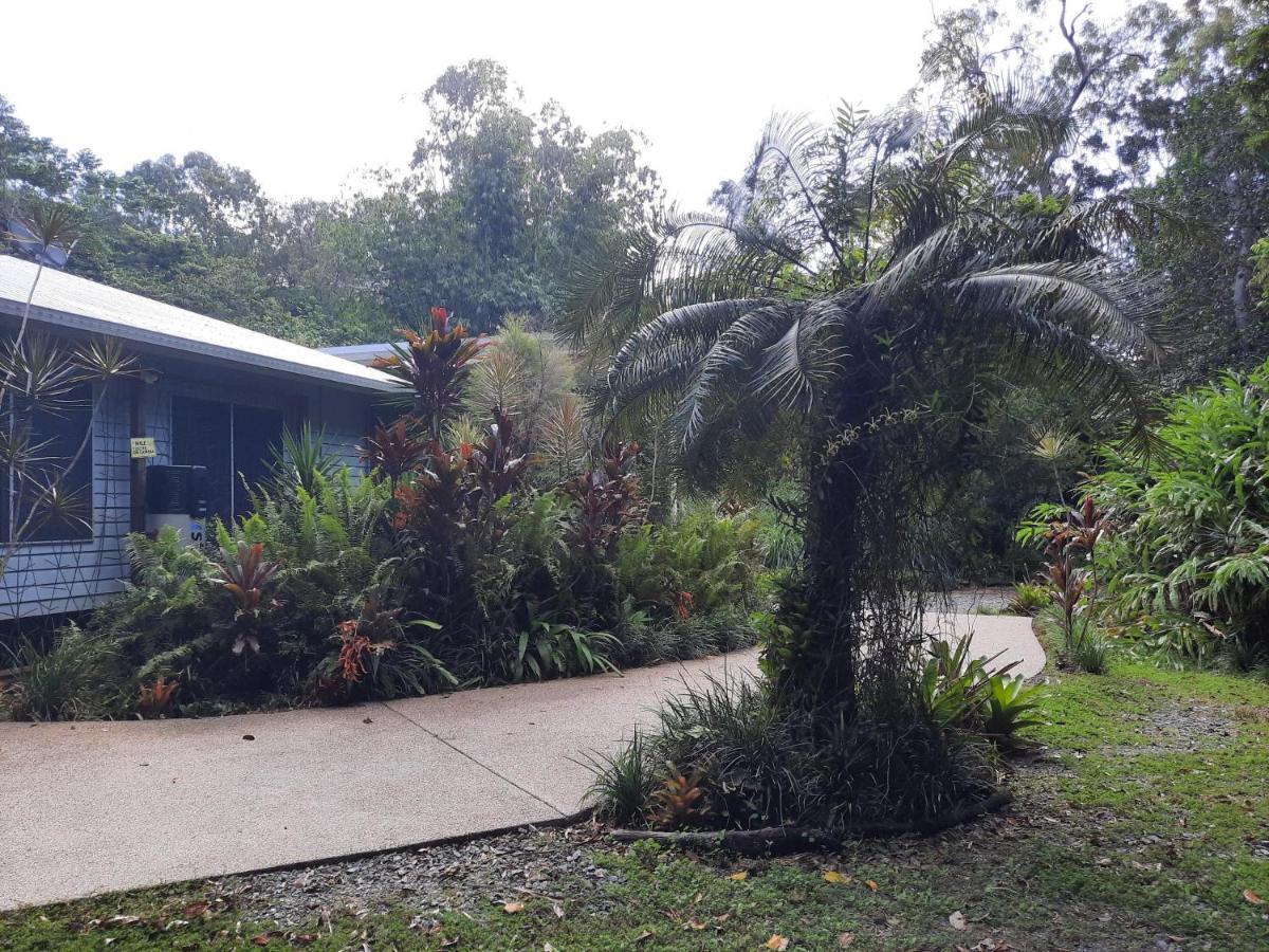 Daintree Rainforest Accommodation Cow Bay エクステリア 写真