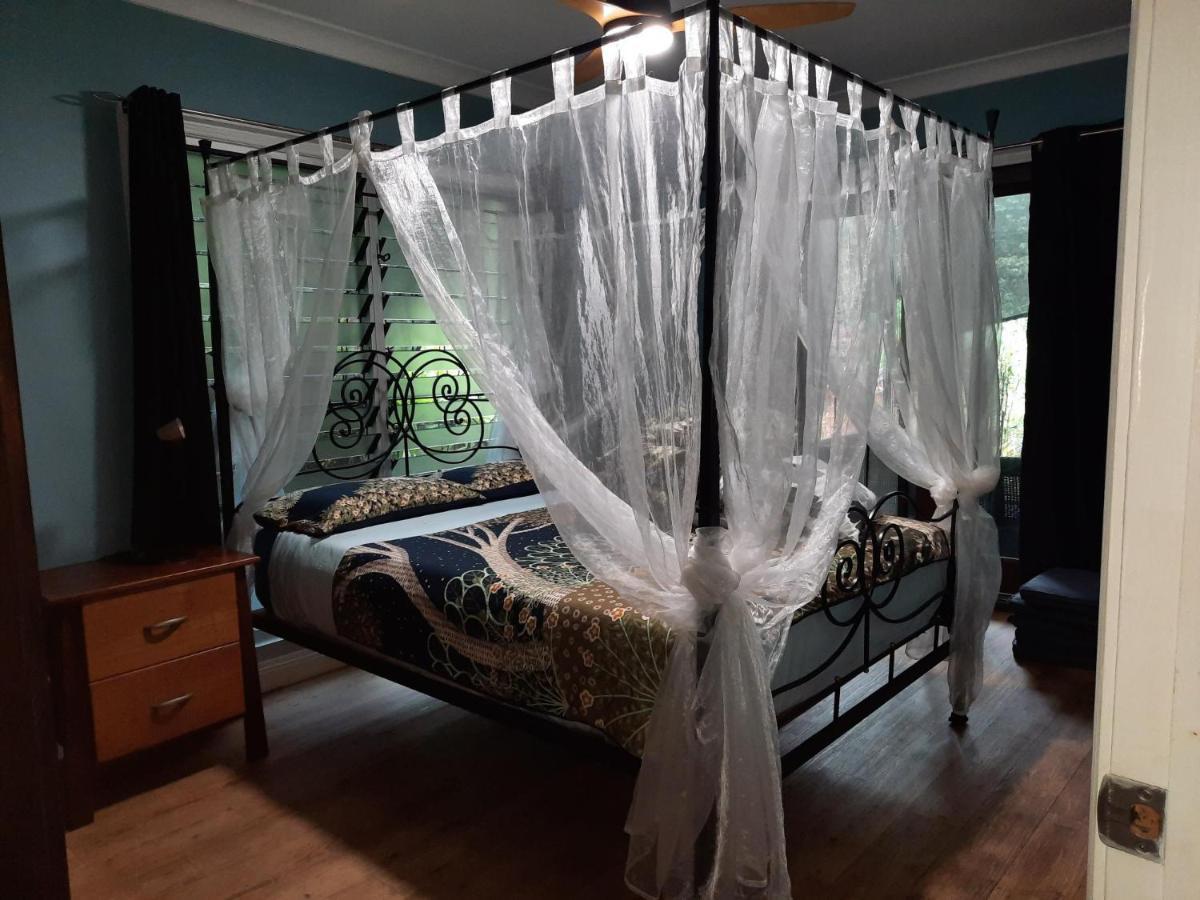 Daintree Rainforest Accommodation Cow Bay エクステリア 写真