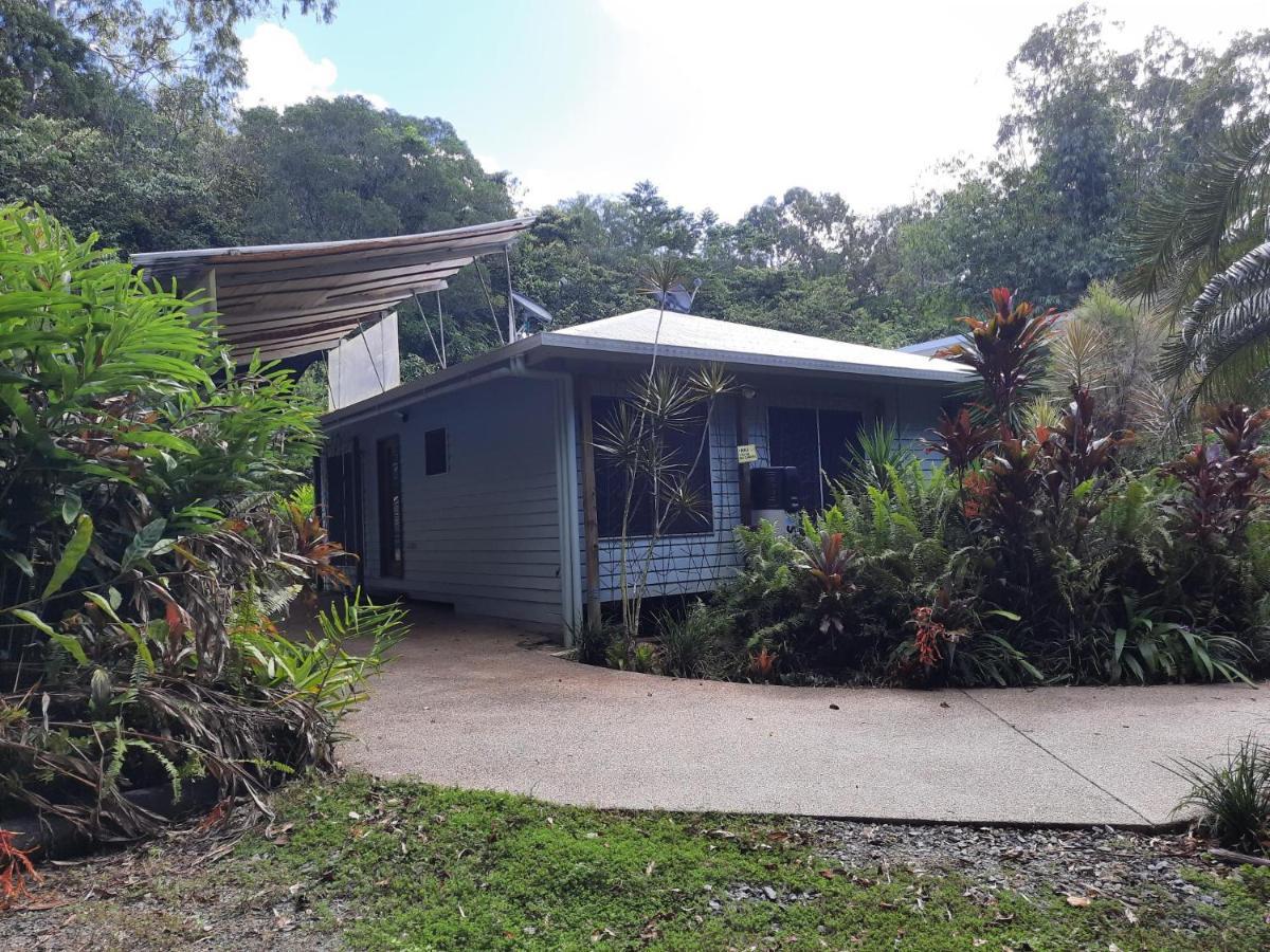 Daintree Rainforest Accommodation Cow Bay エクステリア 写真